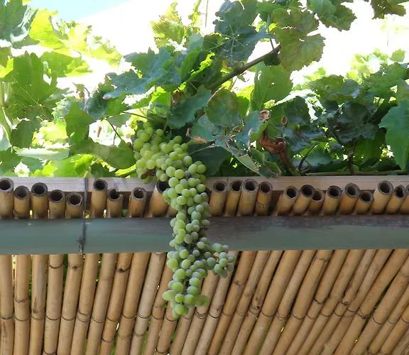 Spitakia Vourkárion