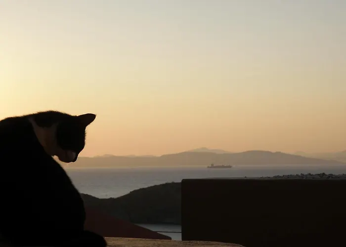 Apartament Spitakia *